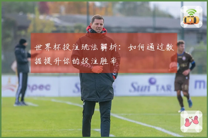 世界杯投注玩法解析：如何通过数据提升你的投注胜率