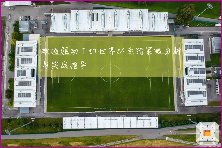 数据驱动下的世界杯竞猜策略分析与实战指导