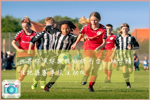 世界杯滚球数据分析平台：助你精准把握赛事投注动向