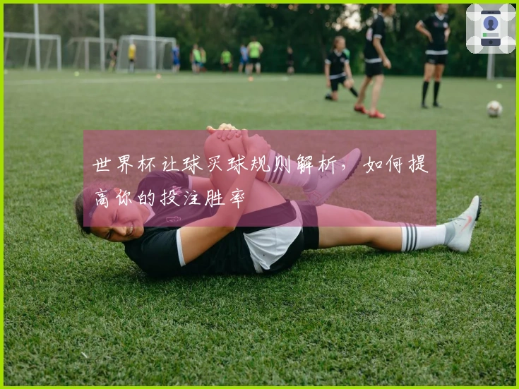 世界杯让球买球规则解析，如何提高你的投注胜率
