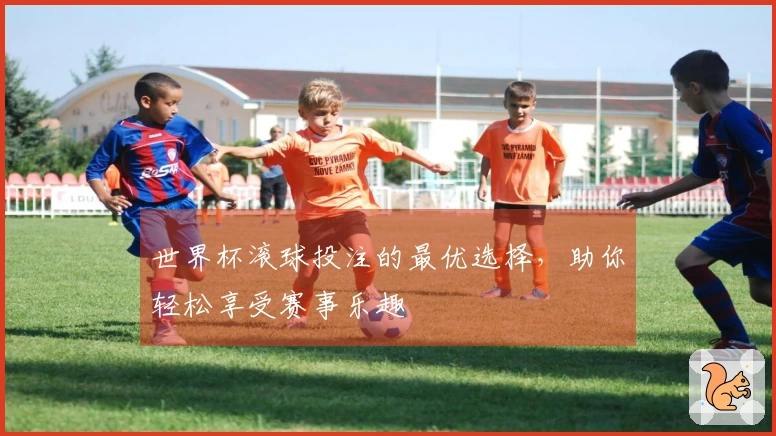 世界杯滚球投注的最优选择，助你轻松享受赛事乐趣