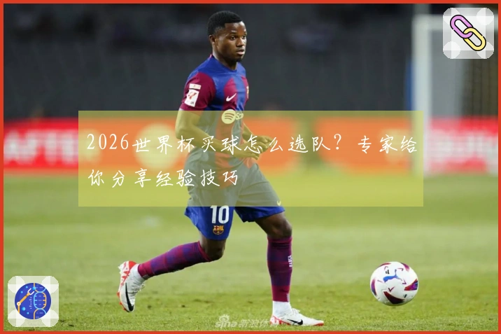 2026世界杯买球怎么选队？专家给你分享经验技巧