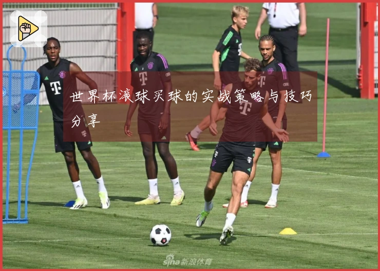 世界杯滚球买球的实战策略与技巧分享