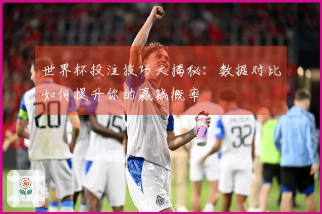 世界杯投注技巧大揭秘：数据对比如何提升你的赢钱概率