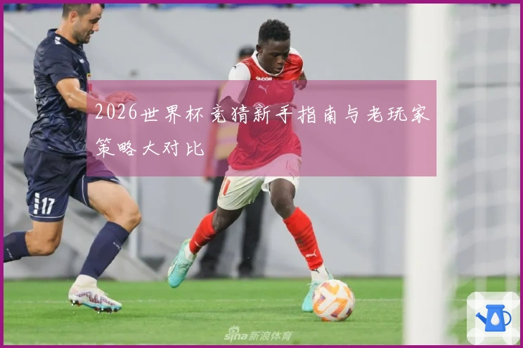 2026世界杯竞猜新手指南与老玩家策略大对比